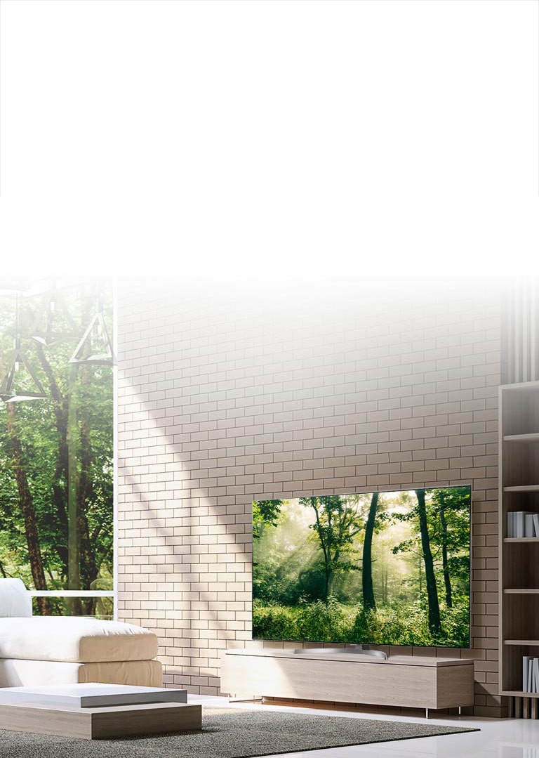 Pantalla cinematográfica ilimitada<br>2