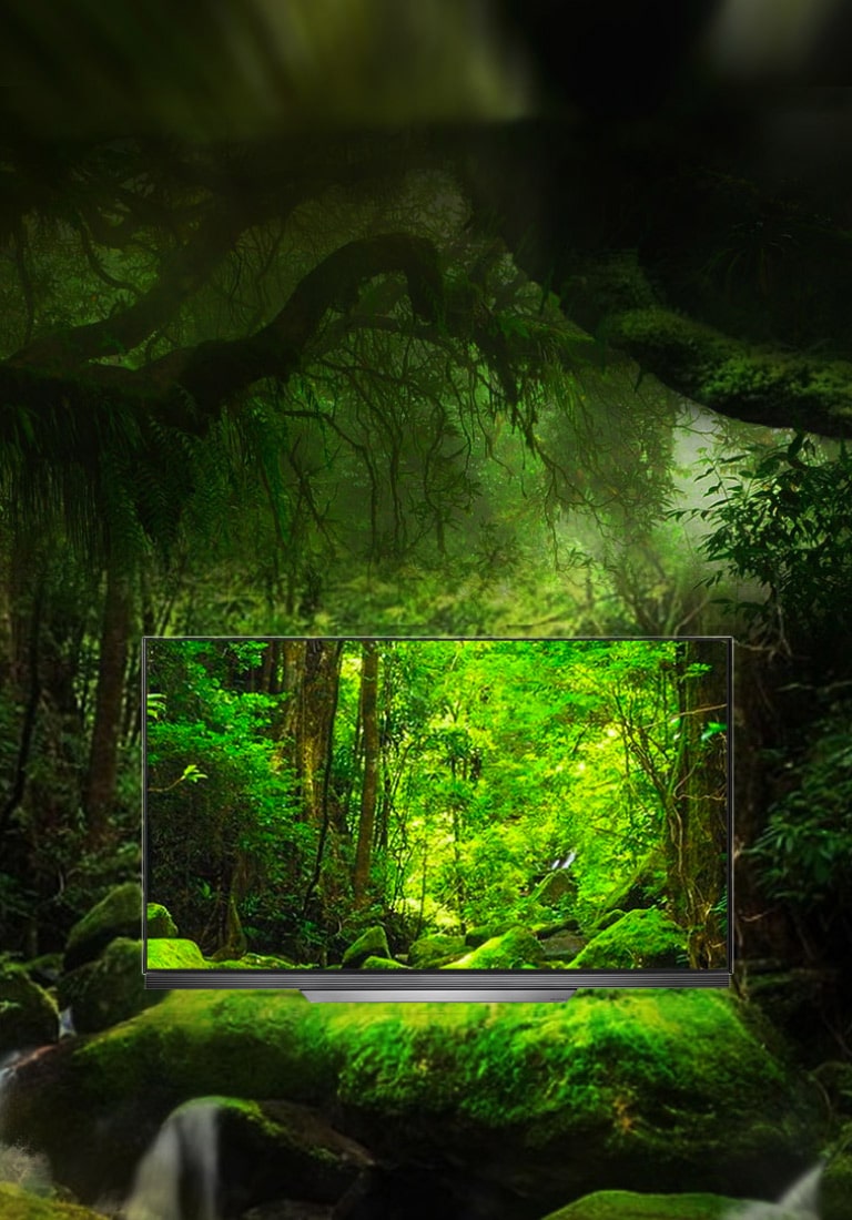 Bring Big Screen Sound to the Living Room