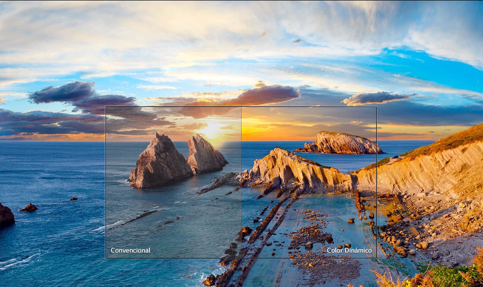 Color Dinámico<br>1