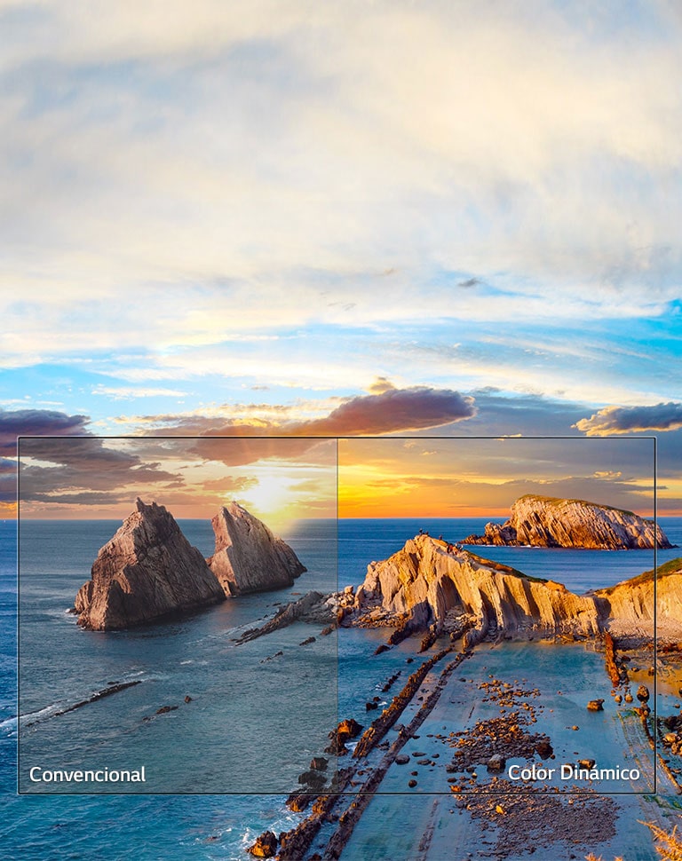 Color Dinámico<br>2