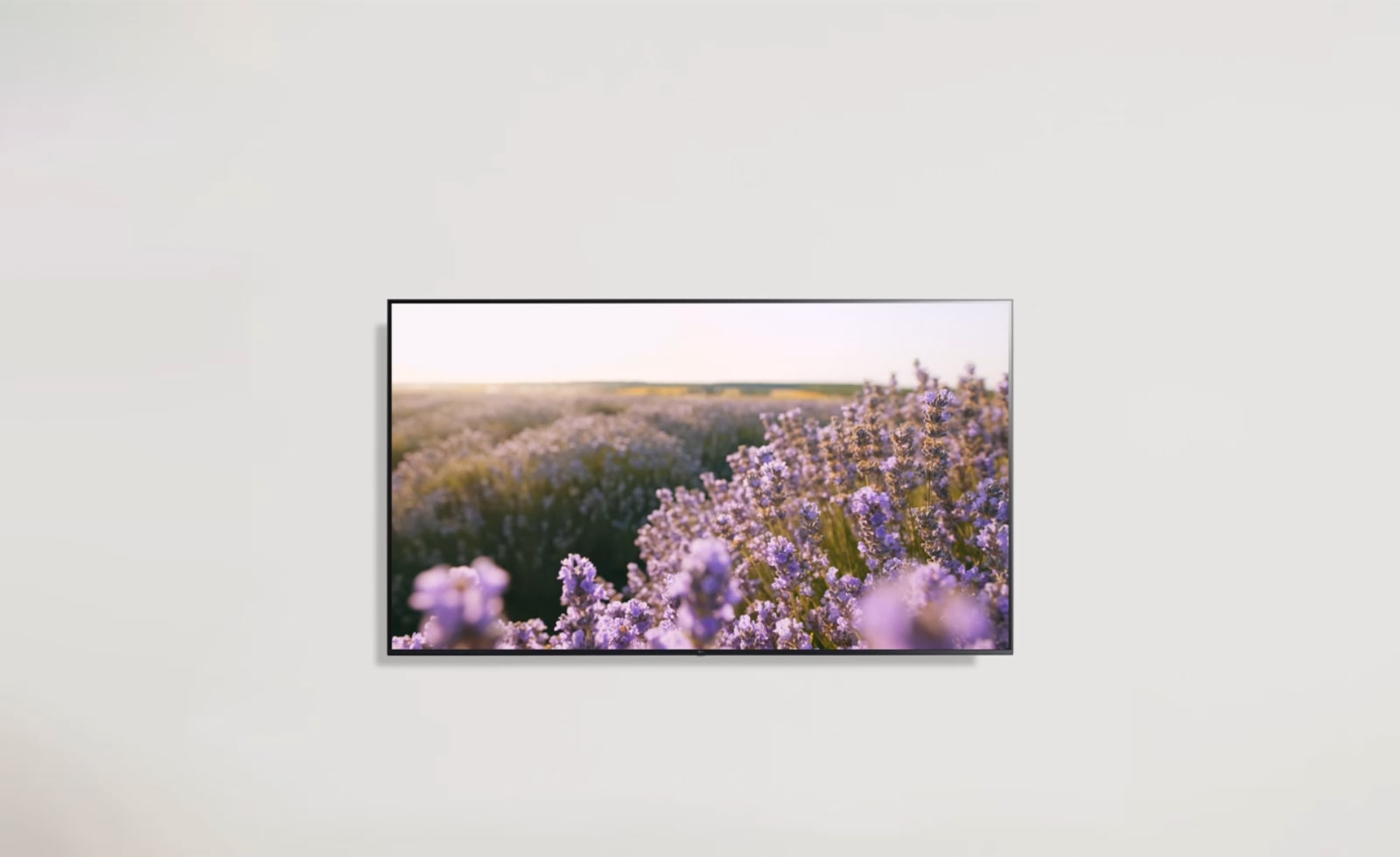 Imagen de un TV con una imagen de flore de colores rosados.