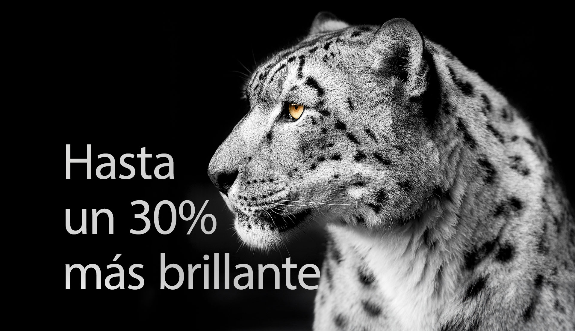 Una imagen de un leopardo blanco que muestra su cara lateral en el lado izquierdo de la imagen. A la izquierda aparecen las palabras "Hasta un 30% más brillante".