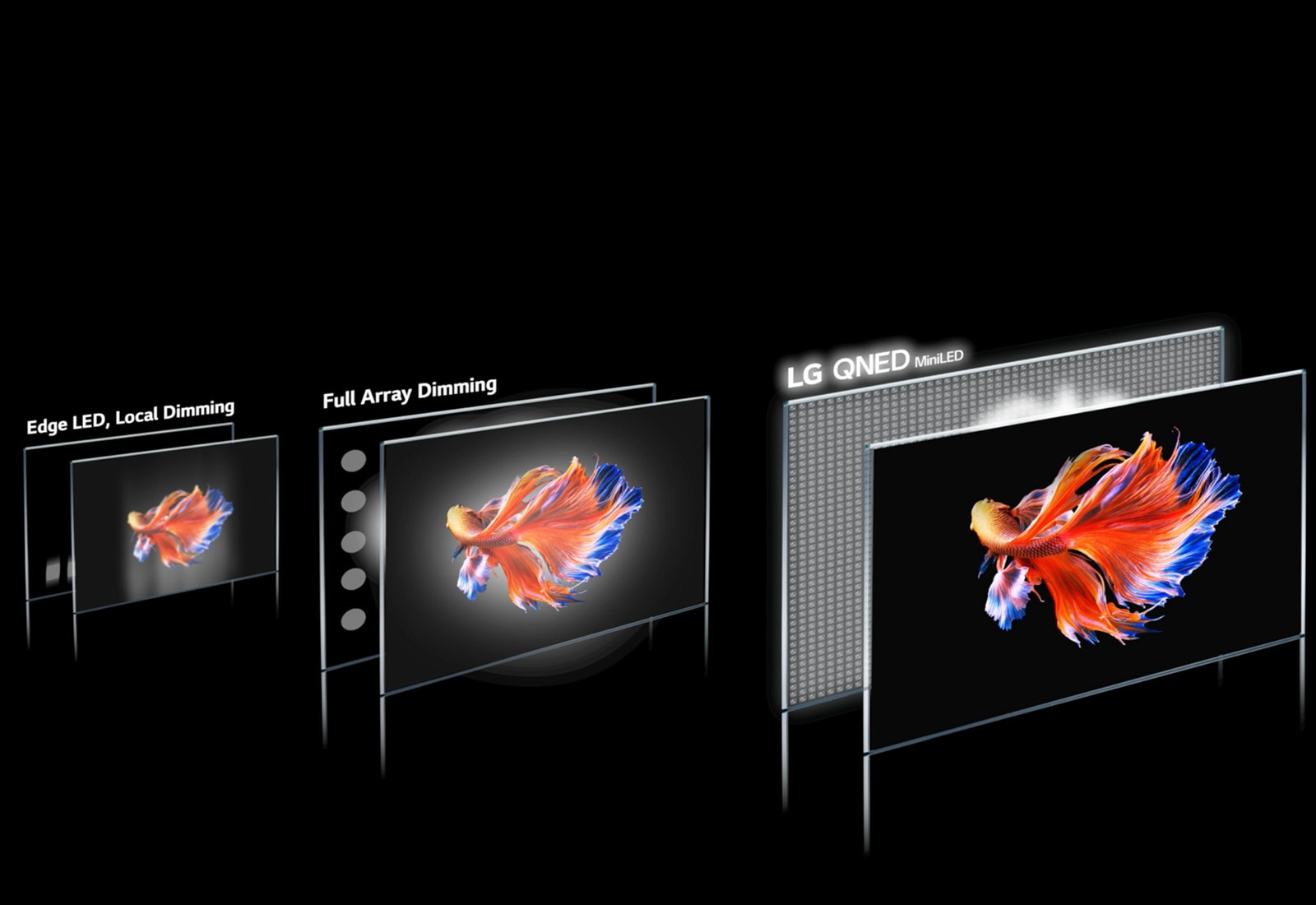 Imagen que muestra la tecnología de la área de atenuación y un pez beta sobre un fondo negro en 3 pantallas diferentes. El LG QNED Mini LED es más claro, con menos halo y colores más brillantes (reproducir video).