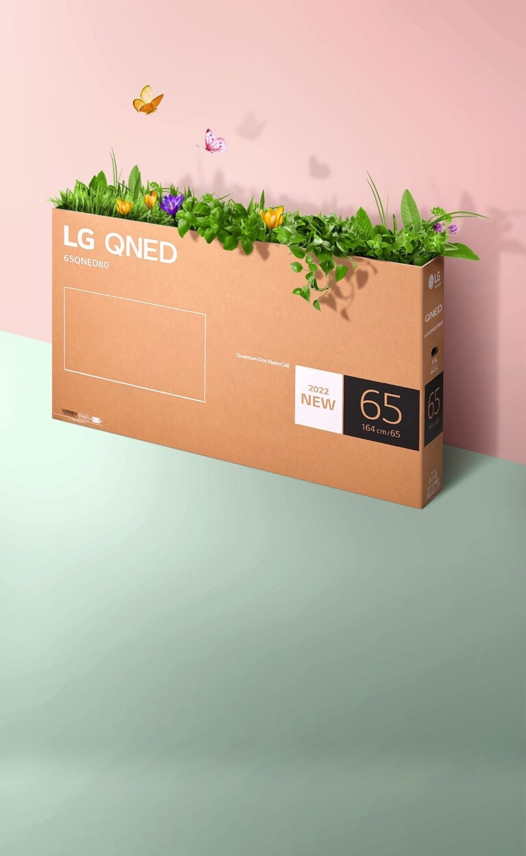 Una caja de empaque QNED se coloca sobre un fondo rosa y verde y crece hierba y salen mariposas de su interior. 