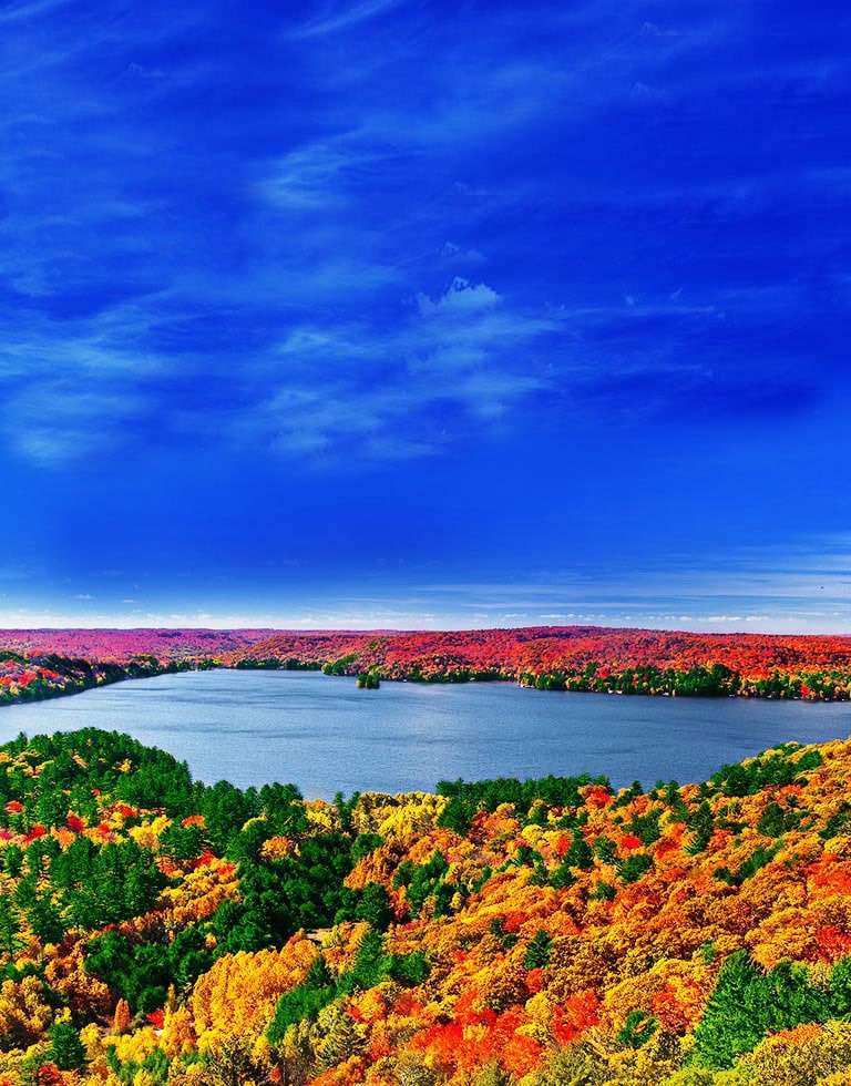 El origen de las imágenes realistas2