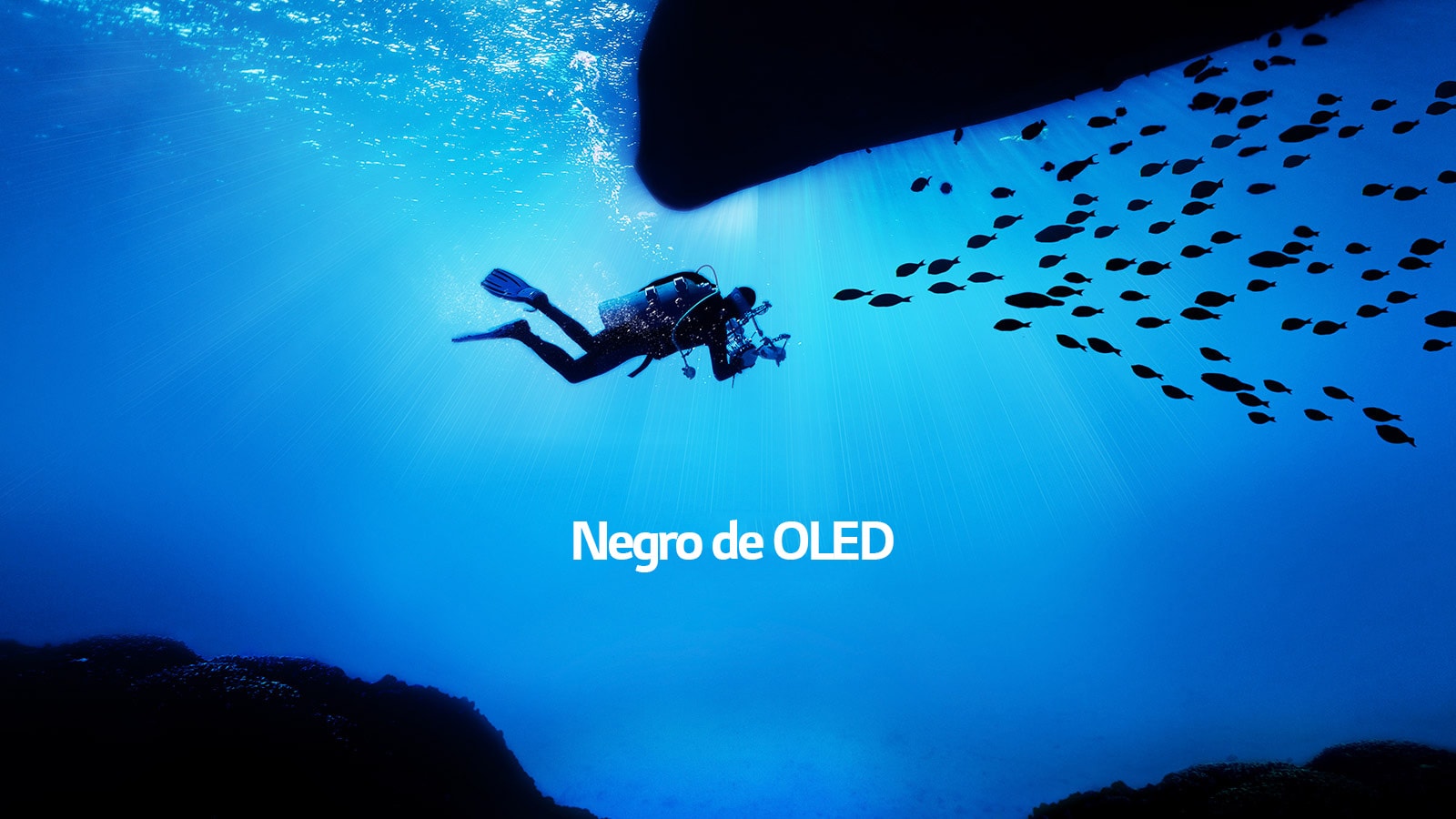 <br><br>Imágenes que cobran vida<br>1