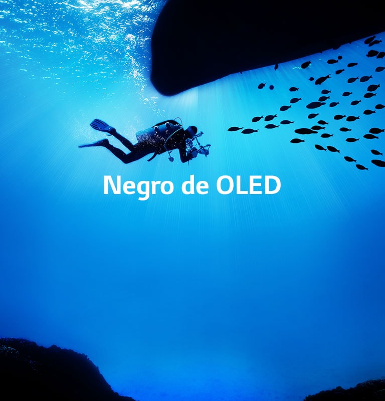 Imágenes que cobran vida2