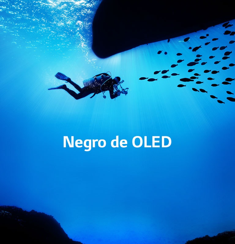 Imágenes que cobran vida2