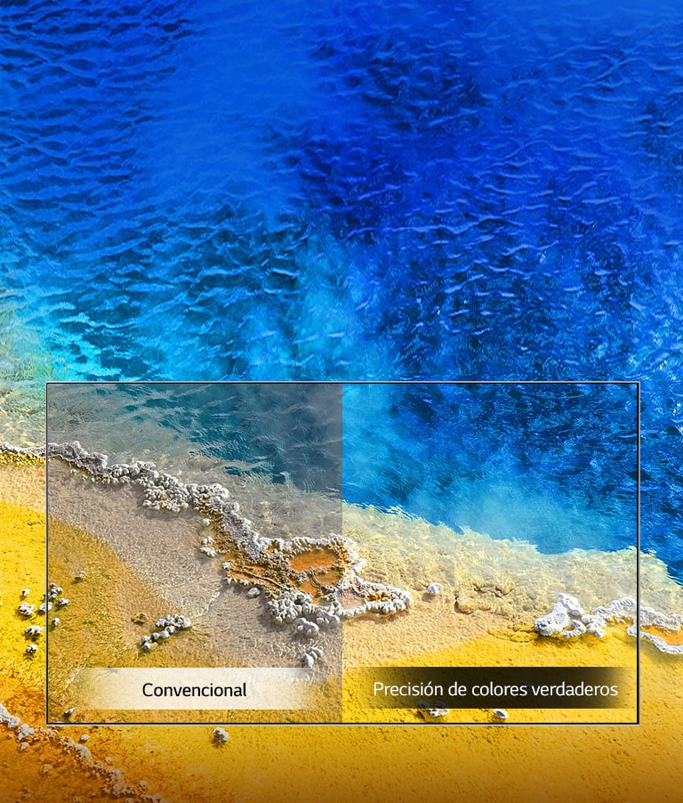 Precisión de colores verdaderos2