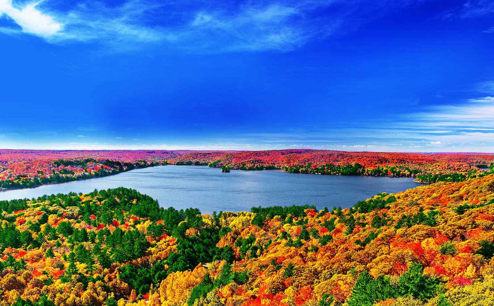 El origen de las imágenes realistas