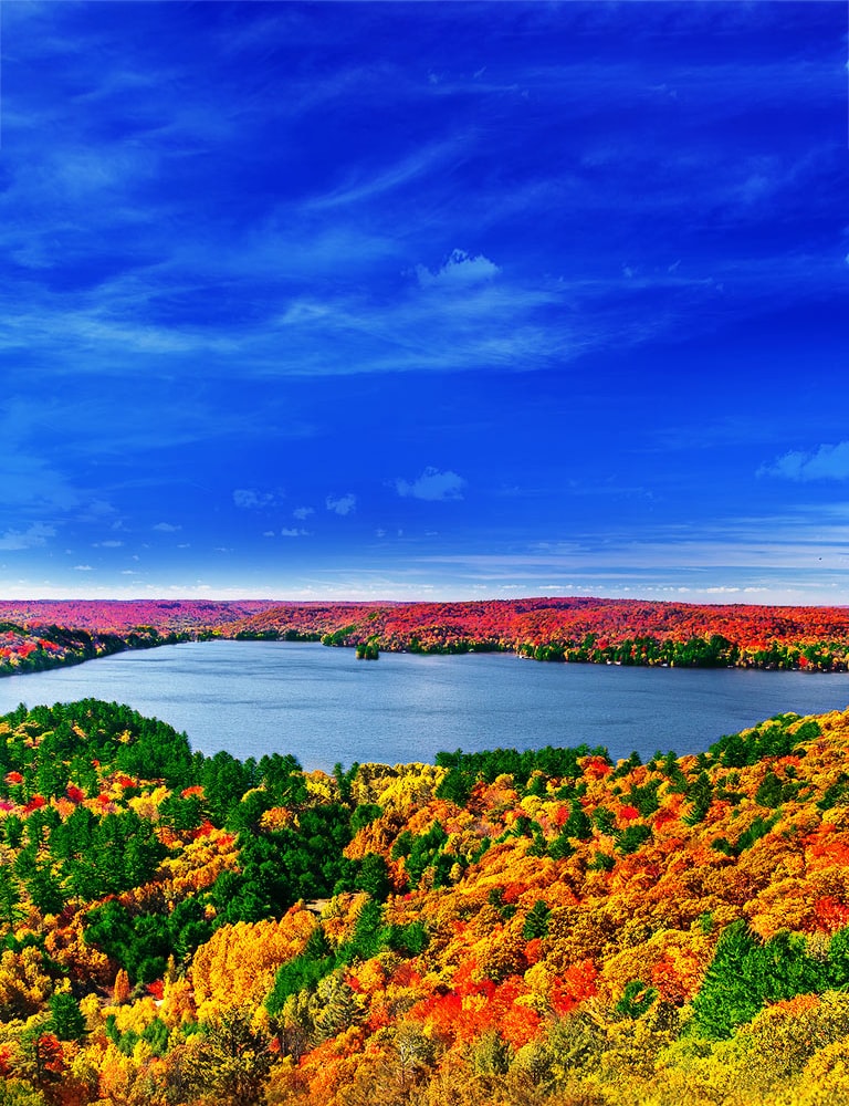 El origen de las imágenes realistas2