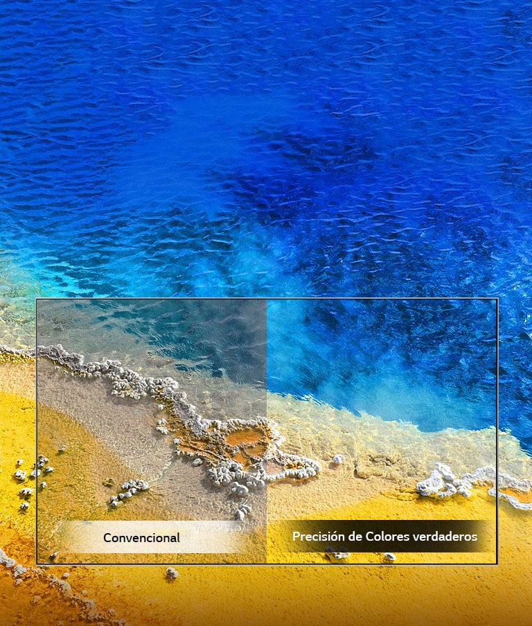 Precisión de colores verdaderos2