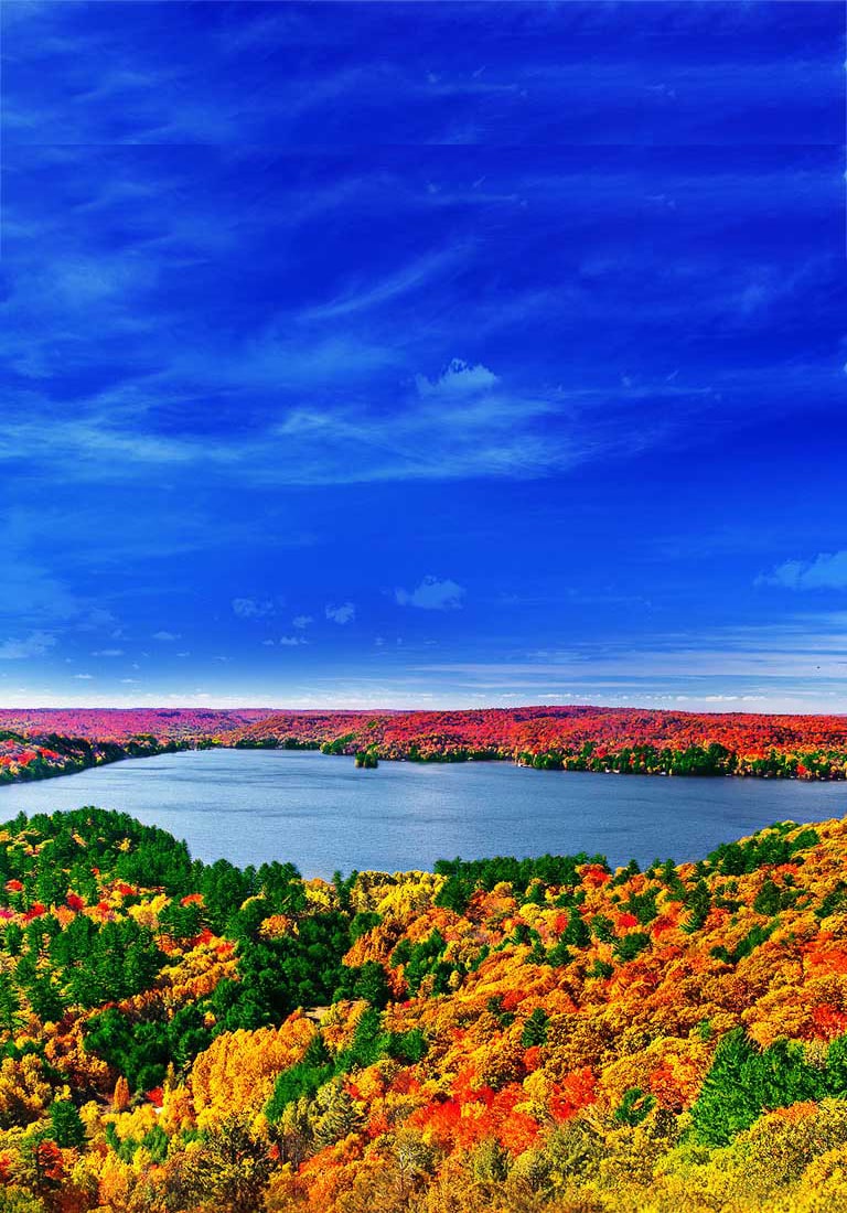 El origen de las imágenes realistas2