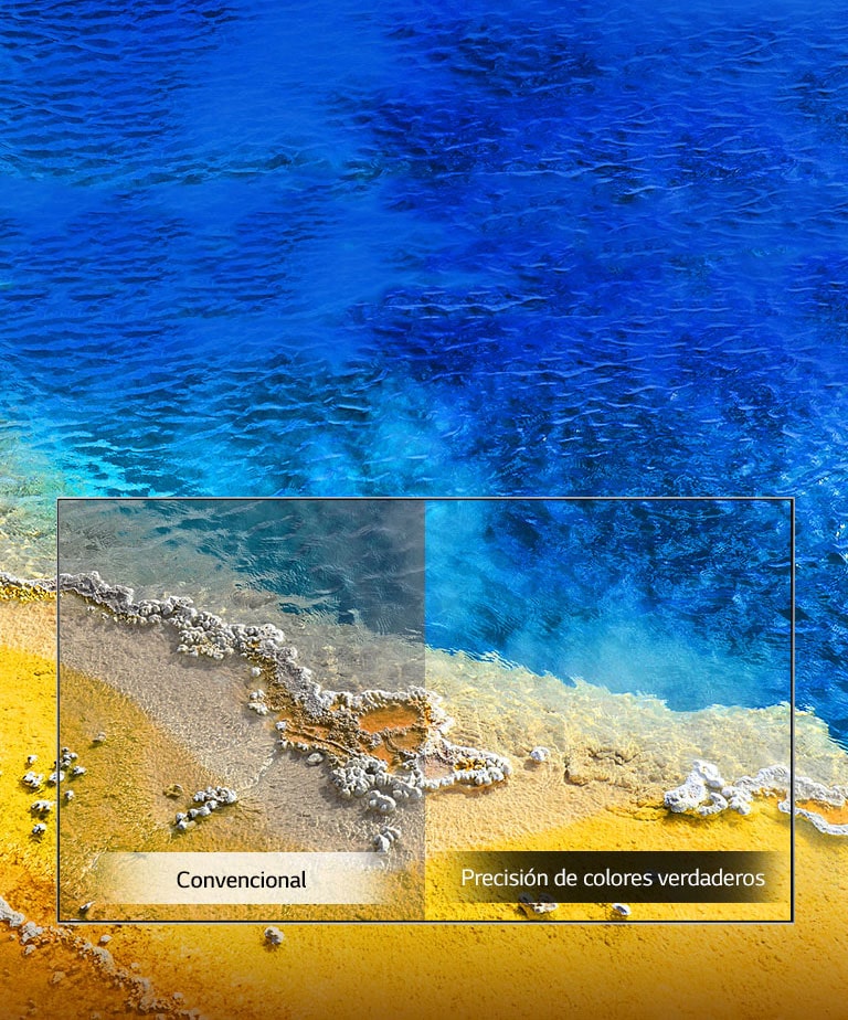 Precisión de colores verdaderos2