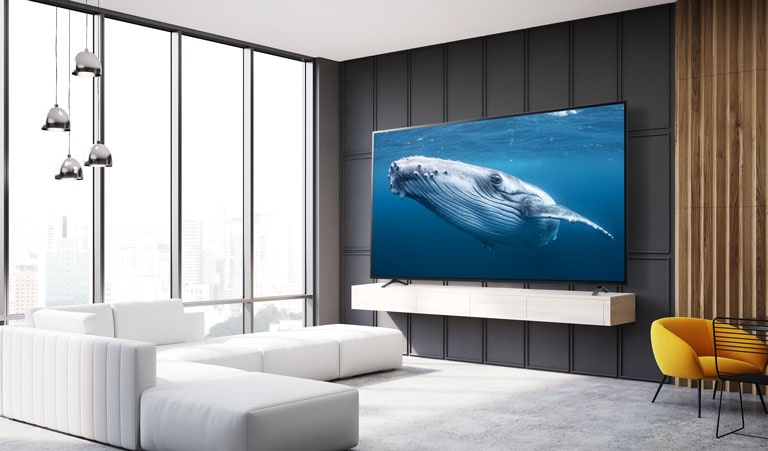 En una sala hay un televisor con pantalla grande que muestra la imagen de una gran ballena en el mar.