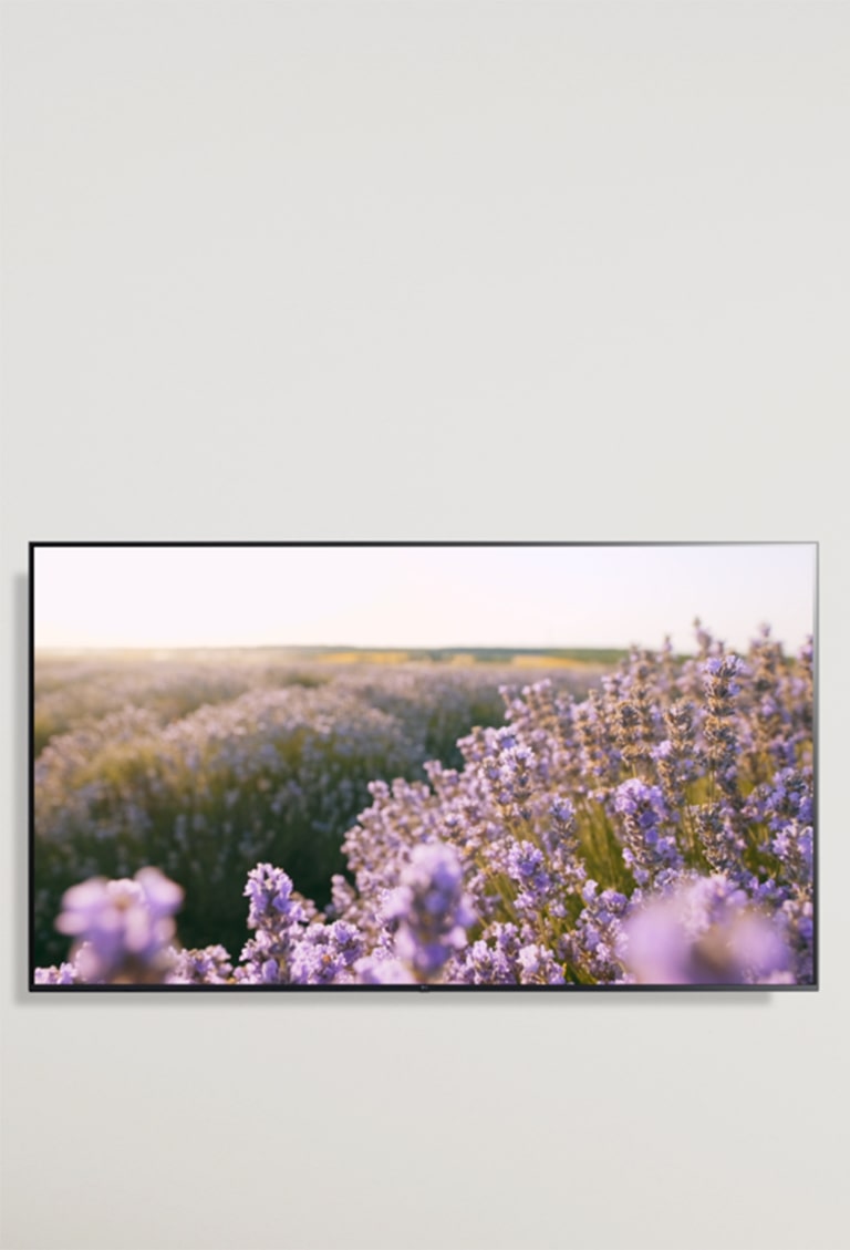 Comprar Pantalla Smart TV 4K LG UHD ThinQ™, 65 Pulgadas, Modelo:  65UQ7400PSF