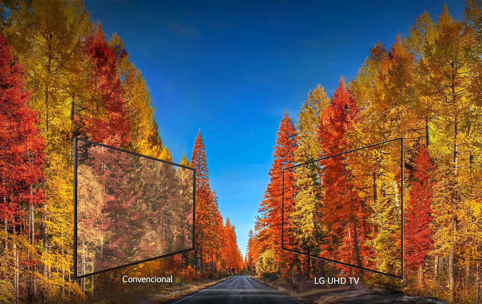 Amplio ángulo de visión1