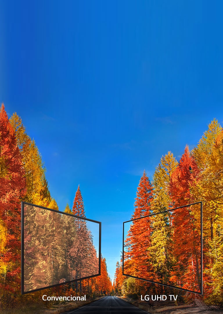 Amplio ángulo de visión2