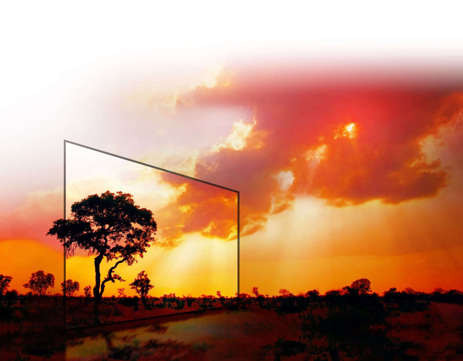 DISFRUTA LO MEJOR DEL CONTENIDO HDR