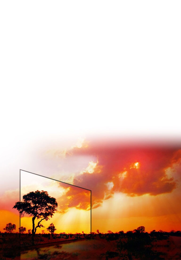 DISFRUTA LO MEJOR DEL CONTENIDO HDR