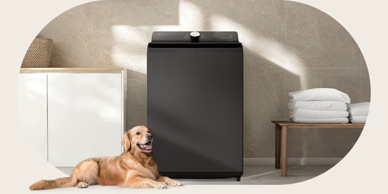 Un perro acostado en el piso junto a una lavadora de carga superior gris oscuro en un espacio de lavandería tranquilo y minimalista con toallas dobladas en un banco.