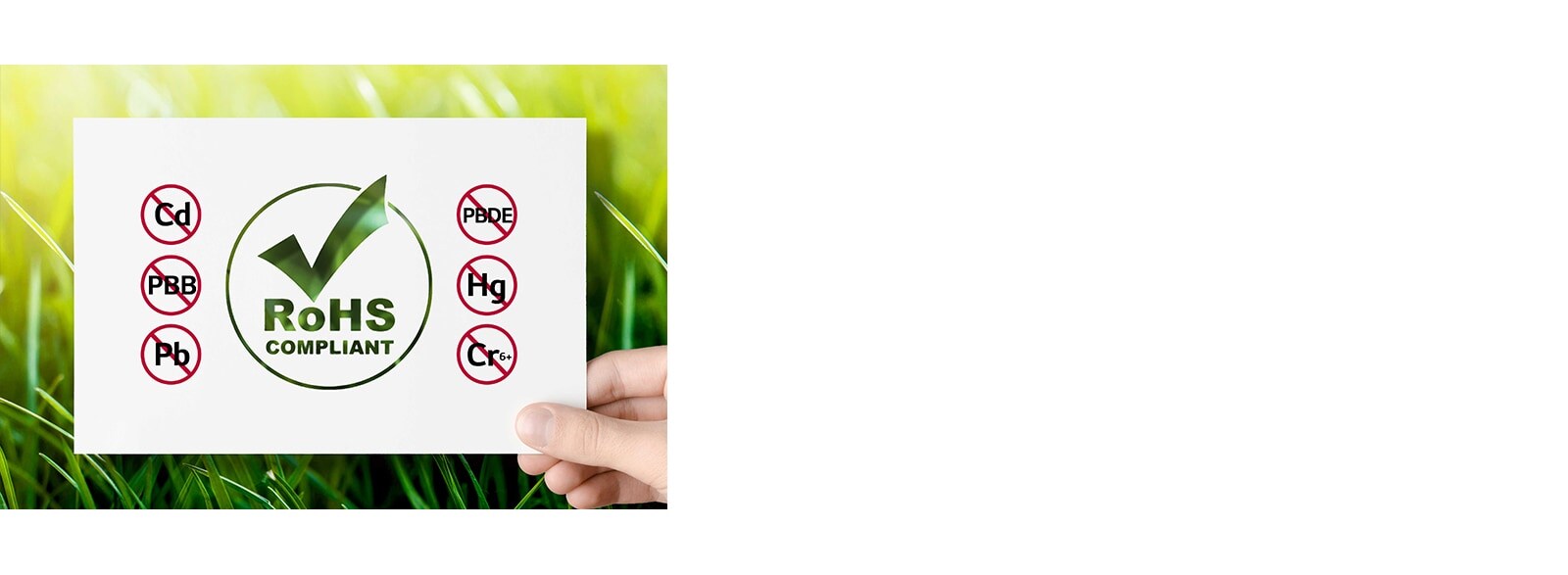 Producto Seguro con Certificación RoHS1