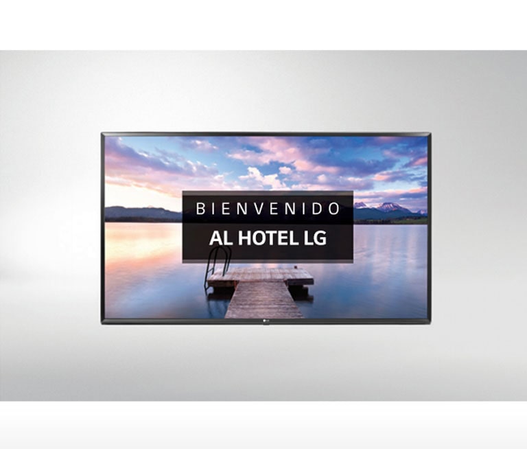 Pantalla de Bienvenida2