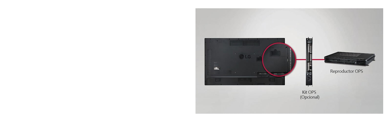 Conectividad del jugador OPS