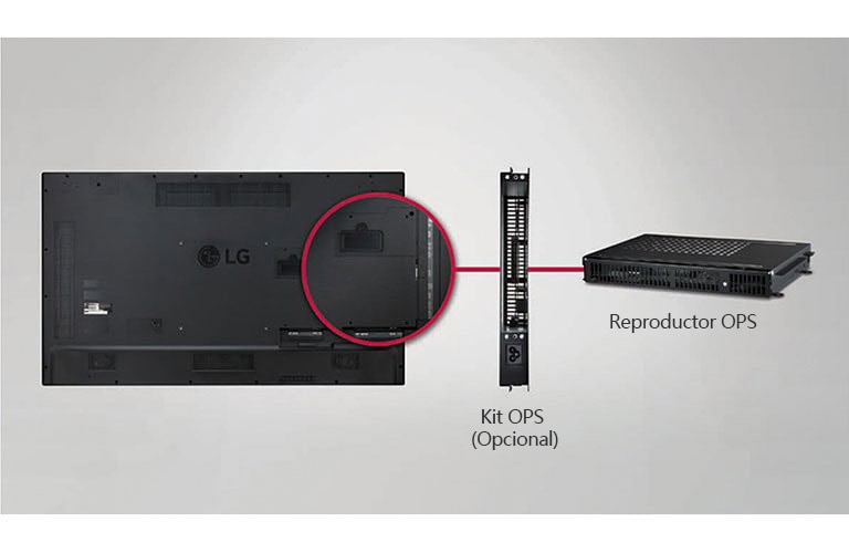 Conectividad del jugador OPS