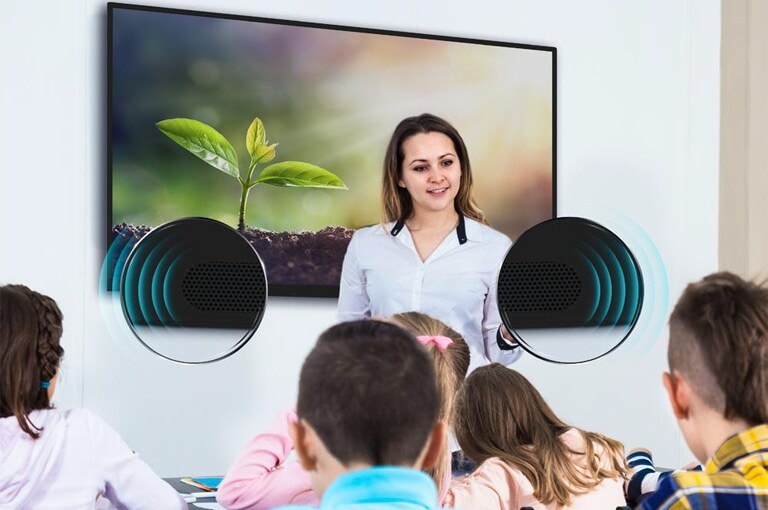 Experiencia auditiva