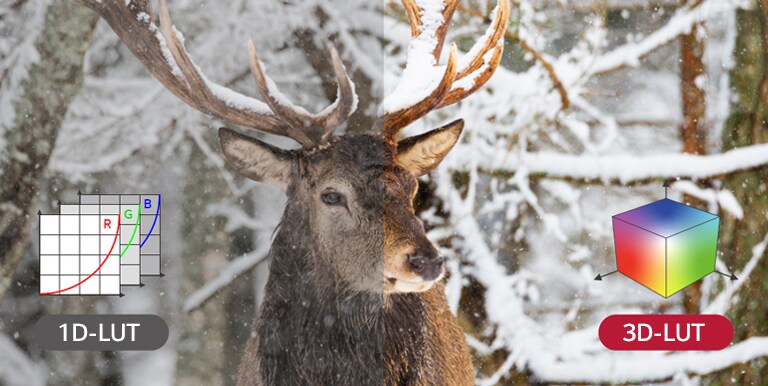 Al usar 3D-LUT en lugar de 1D-LUT, la combinación de colores se vuelve más abundante, lo que hace que la reproducción del color sea más precisa.