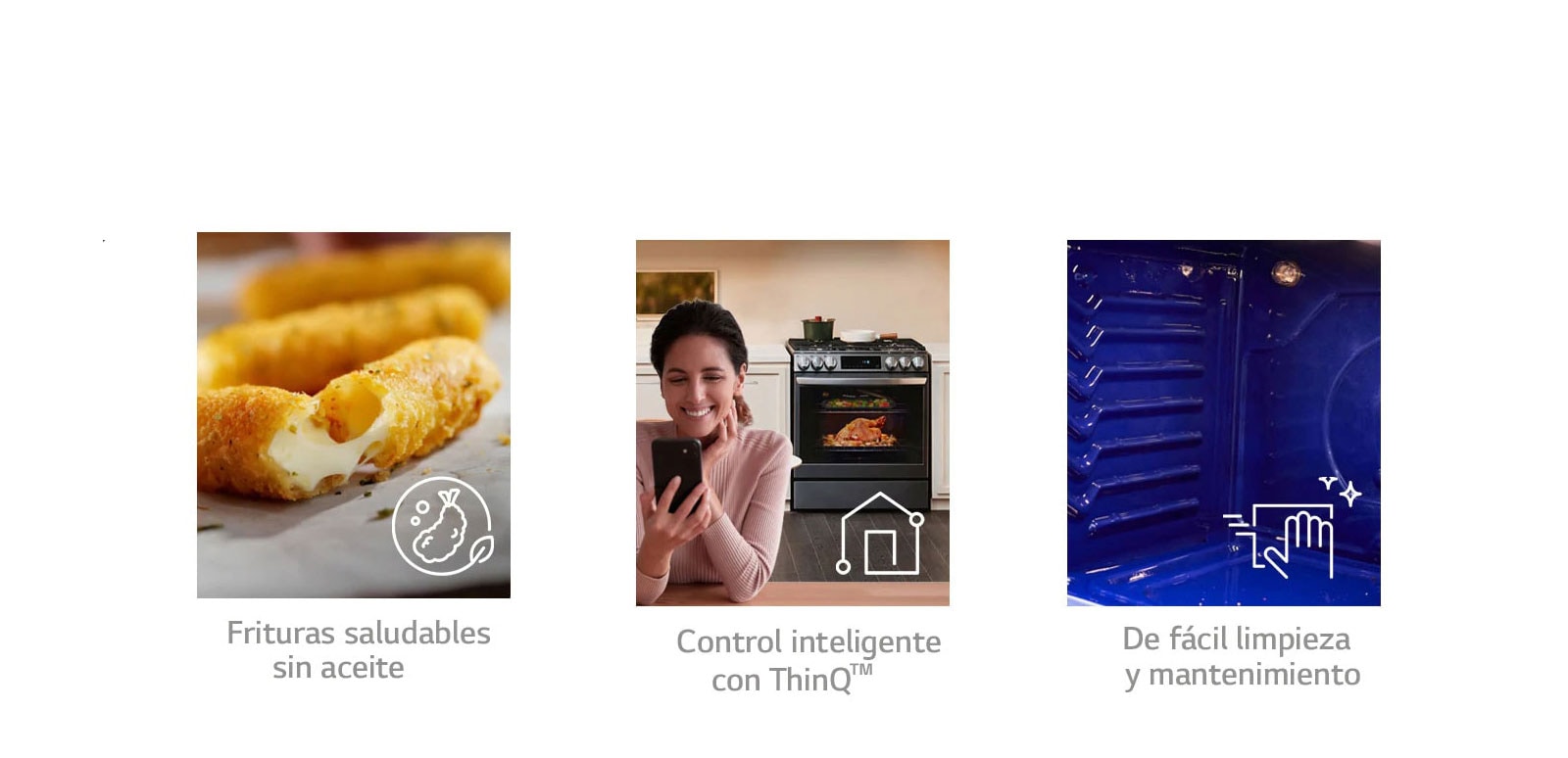 Características principales  <br> 1