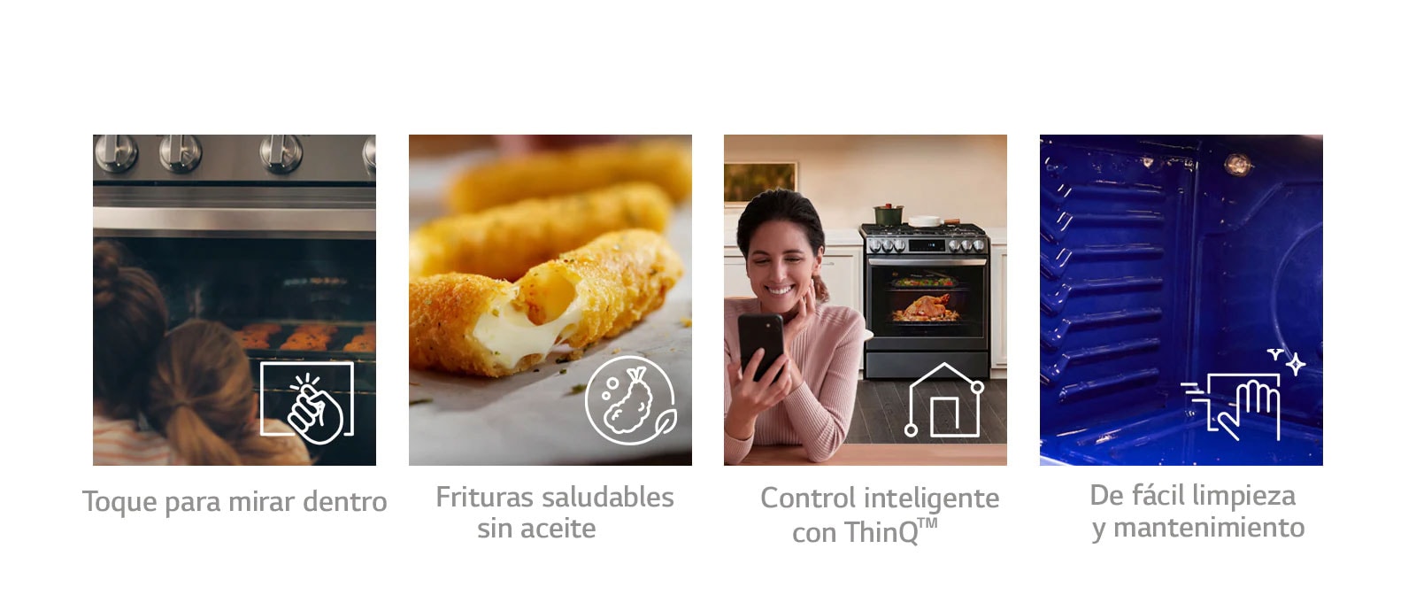 Características principales