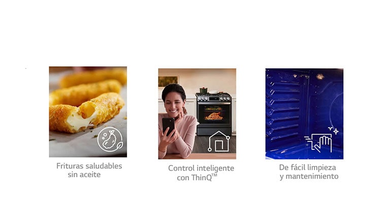 Características principales  <br> 2