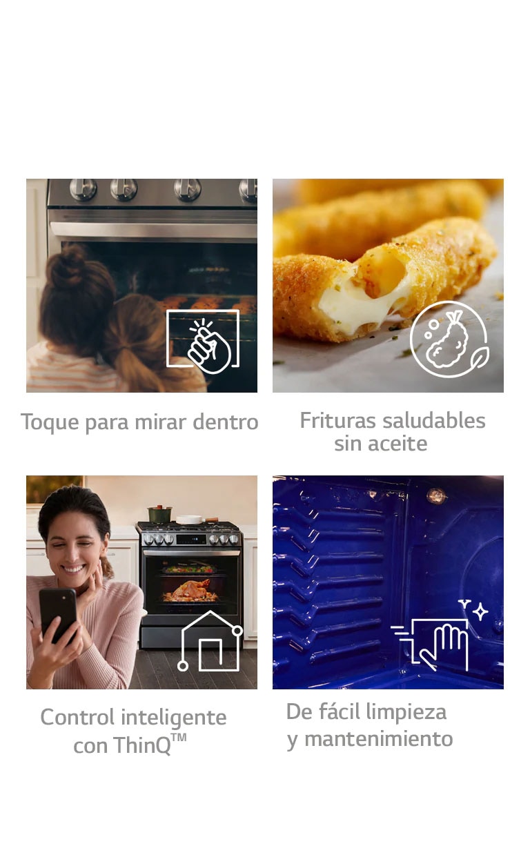 Características principales