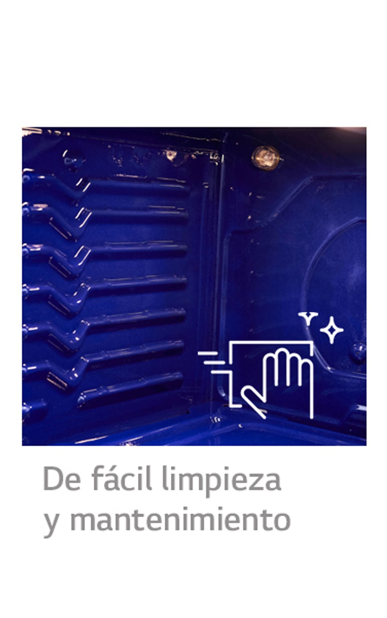 Características principales2