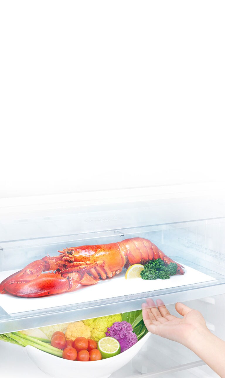 Fresh 0 Zone mantiene una temperatura de 0 °C, permitiendo cocinar sin esperar a que los alimentos se descongelen.