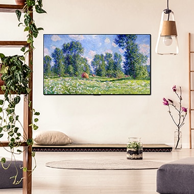 TV-OLED-GX-04-Gallery-View-2-Mobile