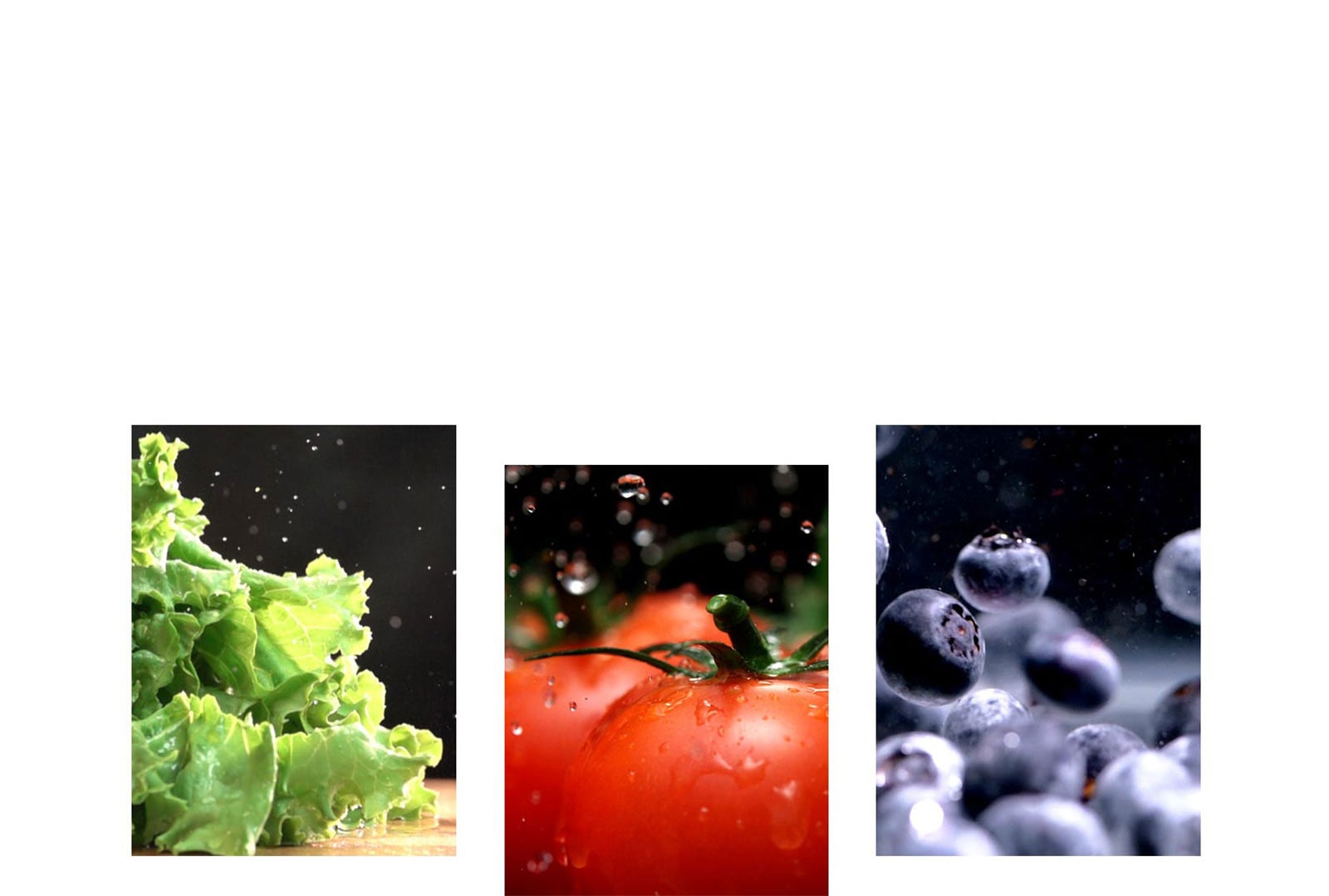 Las frutas y verduras como la lechuga, los tomates y los arándanos se conservan frescos en el producto.