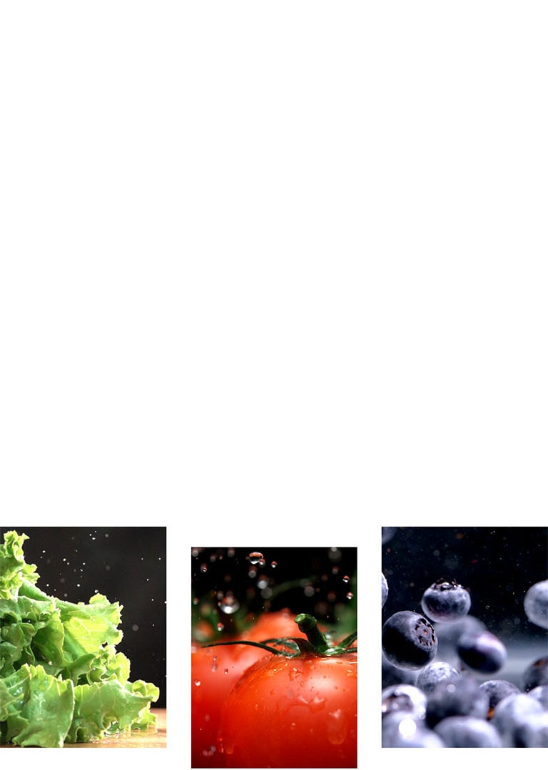 Las frutas y verduras como la lechuga, los tomates y los arándanos se conservan frescos en el producto.