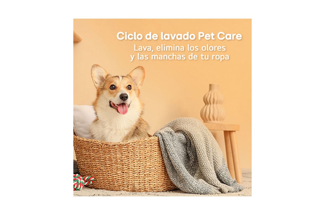 LG Lavasecadora LG Carga Frontal Slim - Capacidad 16kg / 8kg - Color Grafito, lifestyle image, WD16EGNT6PC, thumbnail 15