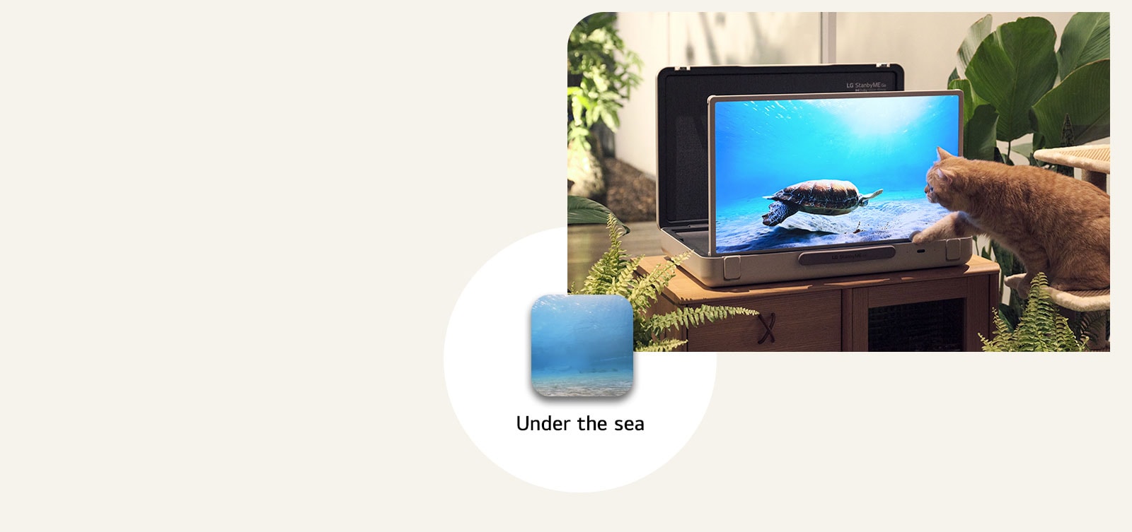 El LG StanbyME Go está colocado en el jardín y la pantalla muestra debajo del mar. Frente a la pantalla, un gato está sentado en un taburete, tratando de atrapar una tortuga en la pantalla.