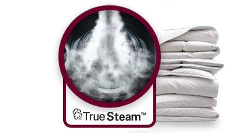 TrueSteam ™
