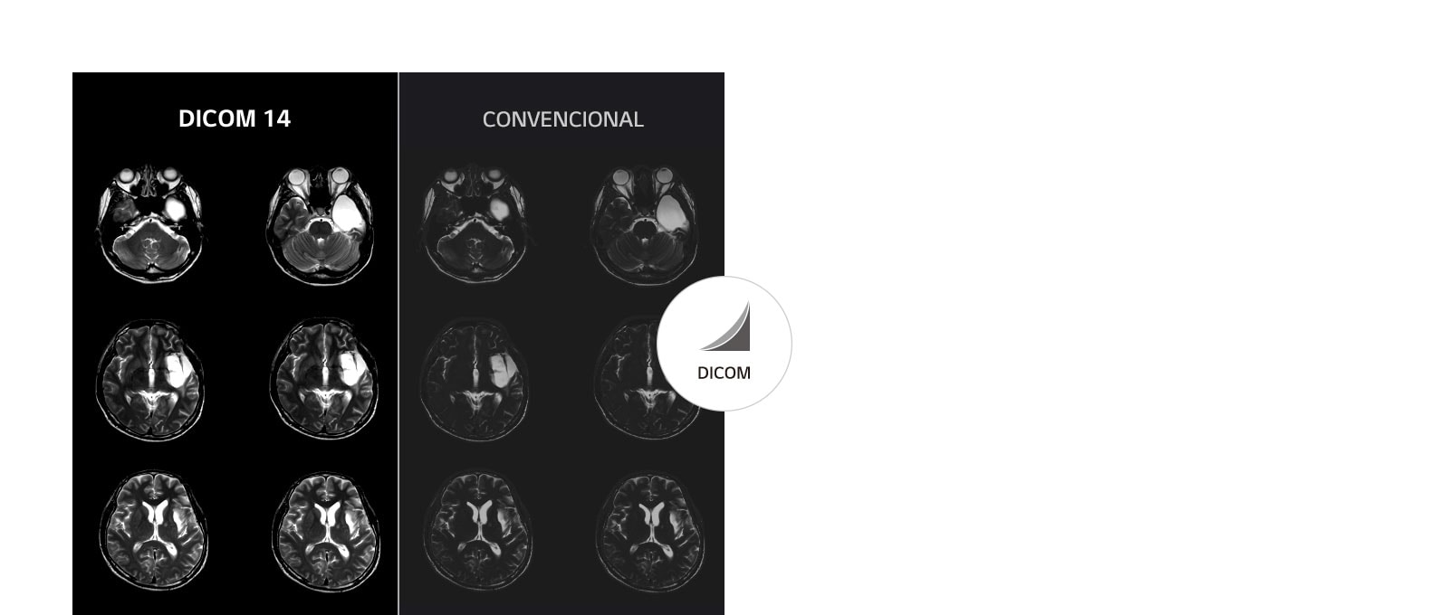 Imágenes estables en escala de grises