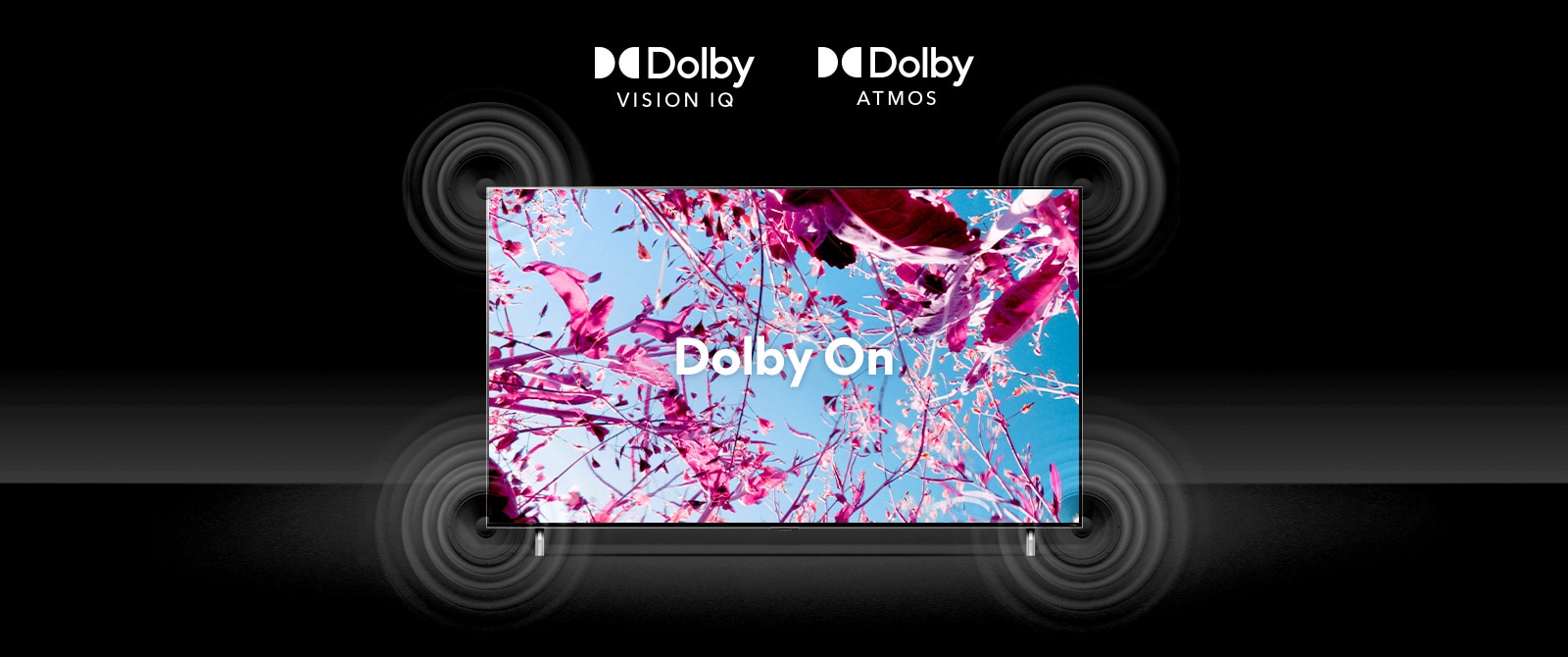 La pantalla del televisor5 QNED muestra unas flores rosadas en un campo en verano y el texto en el medio que dice Dolby OFF. La imagen en pantalla se vuelve más brillante y el texto cambia a Dolby ON.