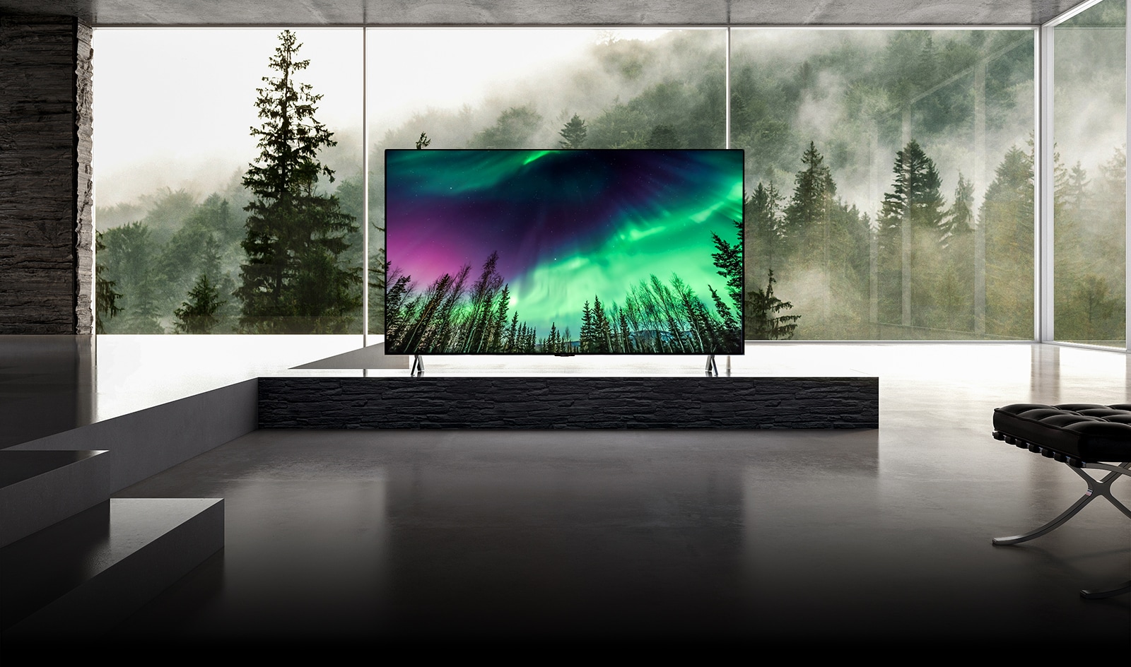 La cámara se mueve desde un primer plano de la parte superior del televisor hasta un primer plano del frente del televisor. La pantalla de televisión muestra una aurora verde. La cámara se aleja para mostrar una sala de estar muy amplia. La sala de estar es gris en general y se ve un bosque a través de la ventana exterior.