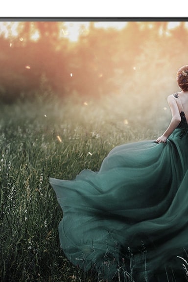 Monitor de TV LG compatible con imagen clara en modo convencional de gran angular