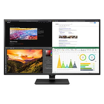 Monitor 4K (UHD) 42.5" IPS1