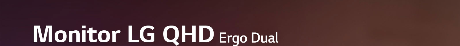 LG QHD Monitor Ergo Dual
