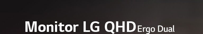 LG QHD Monitor Ergo Dual